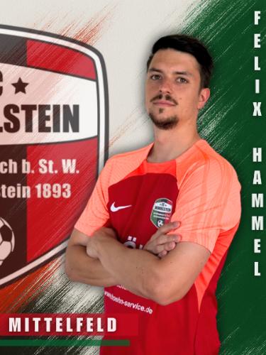 Felix Hammel