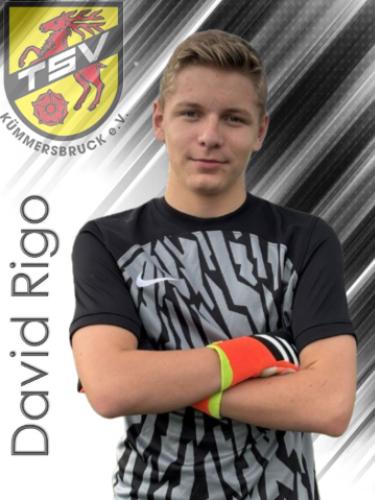 David Rigo