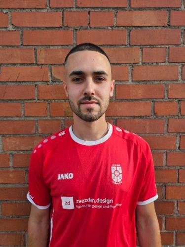 Mihailo Milosavljevic