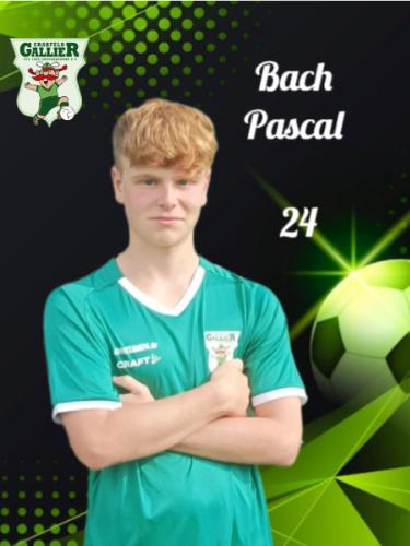 Avatar Bild