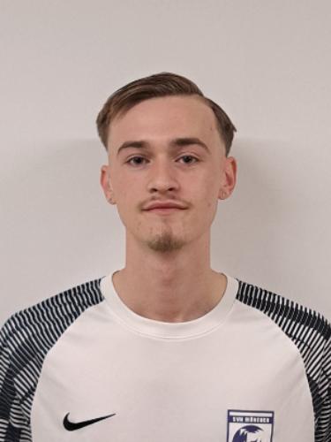 Denis Bajric