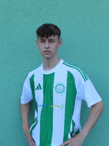 Avatar Bild für Niklas Fertich