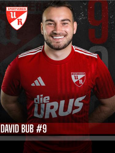 David Bub