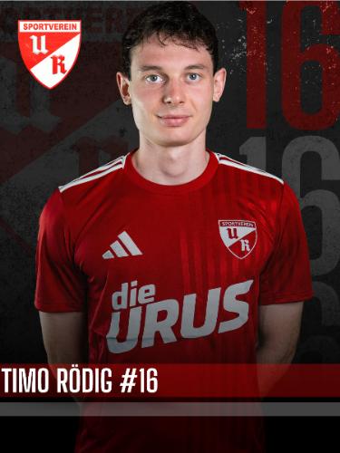 Timo Rödig