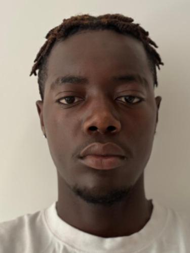 Wilfried Ngantchou Tchienkoua