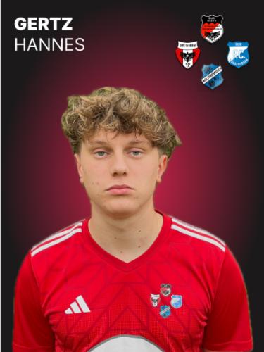 Hannes Gertz