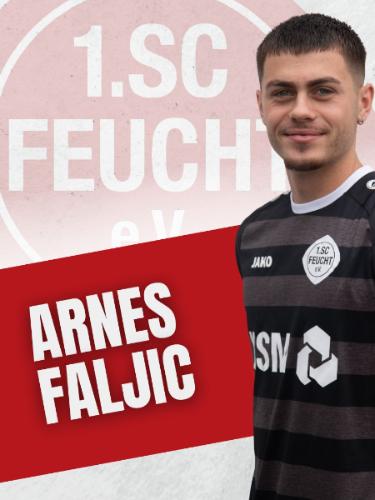 Avatar Bild für Arnes Faljic