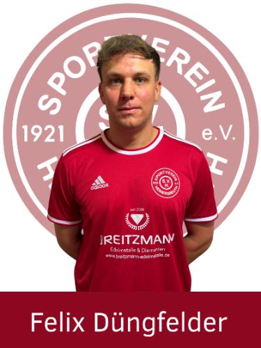 Avatar Bild für Felix Düngfelder