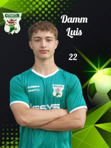 Luis Damm