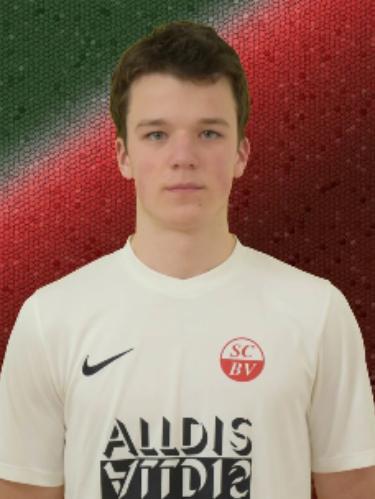 Avatar Bild für Henri Sarfert