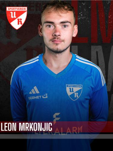 Avatar Bild für Leon Mrkonjic