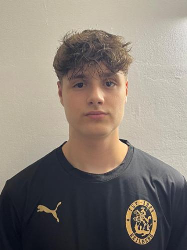 Avatar Bild für Henrik Klang