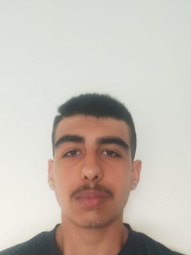 Seyedsaman Vahidtari