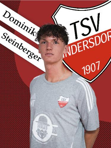 Avatar Bild für Dominik Steinberger