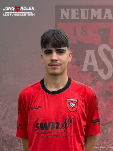 Avatar Bild für Albion Fazlio