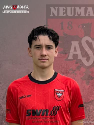 Avatar Bild für Vincent Steigberger