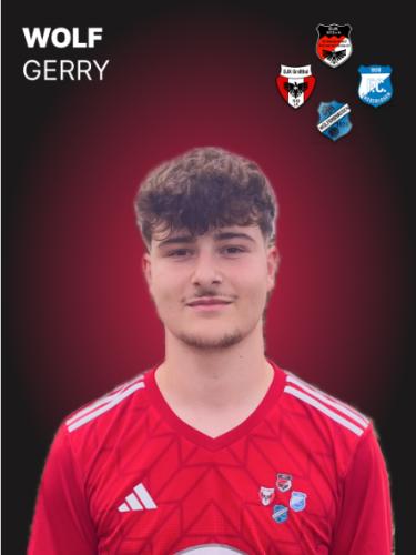 Gerry Wolf