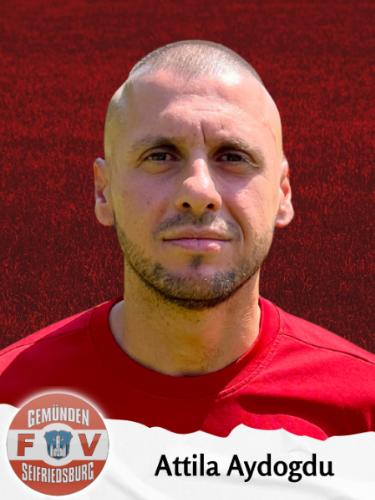 Atilla Aydogdu