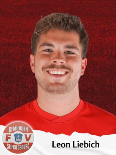 Leon Liebich