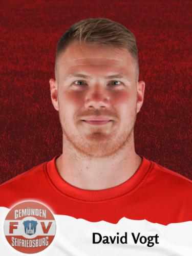 David Vogt