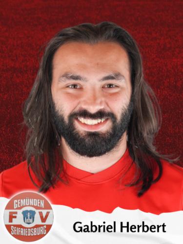 Avatar Bild für Gabriel Herbert