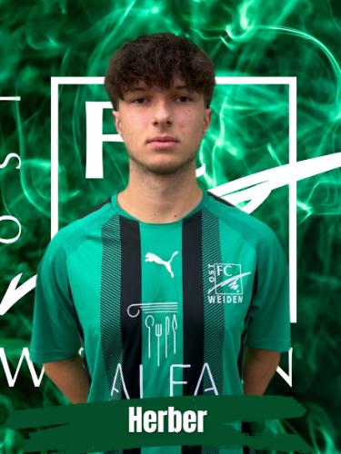 Avatar Bild für Nico Herber