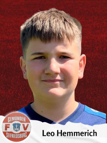 Leo Hemmerich