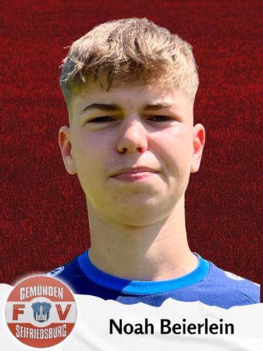 Noah Beierlein