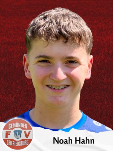Noah Hahn