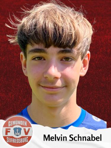 Melvin Schnabel