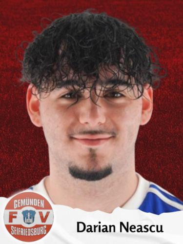 Darian Neascu