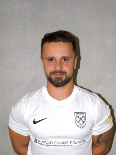 Milan Gajic