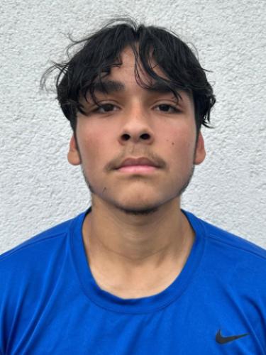 Avatar Bild für Giuliano Zannone