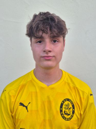 Avatar Bild für Henrik Klang