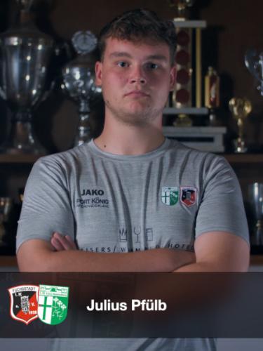 Julius Pfülb