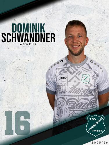 Dominik Schwandner
