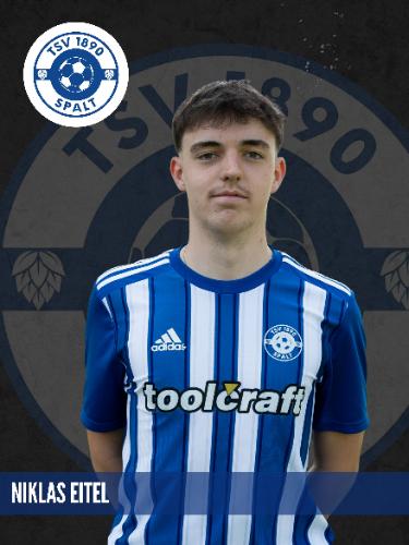 Avatar Bild für Niklas Eitel