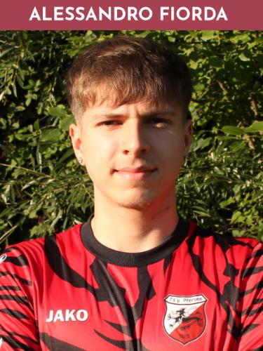 Alessandro Fiorda