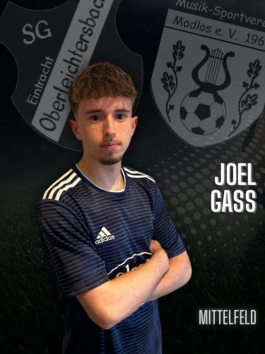 Avatar Bild für Joel Gass