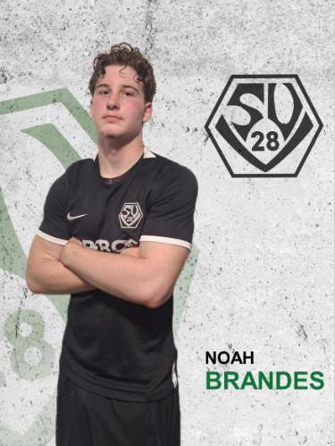 Noah Brandes