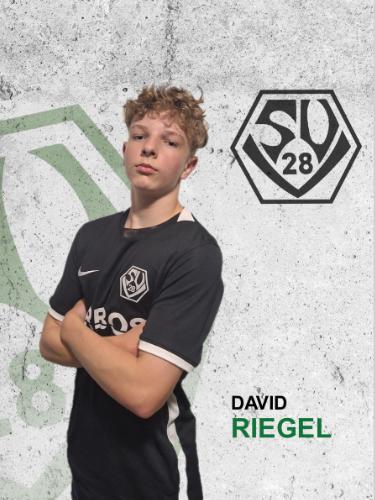 Avatar Bild für David Riegel