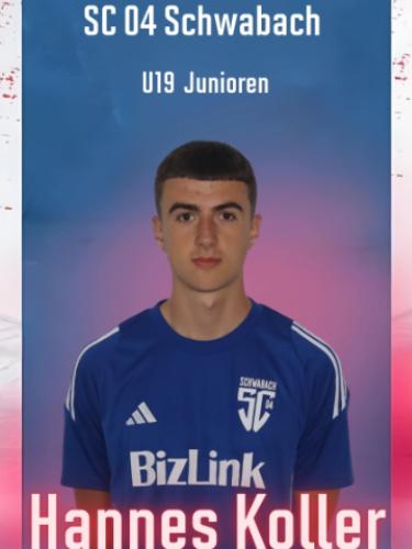 Hannes Koller