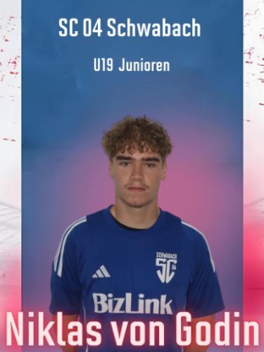 Niklas von Godin