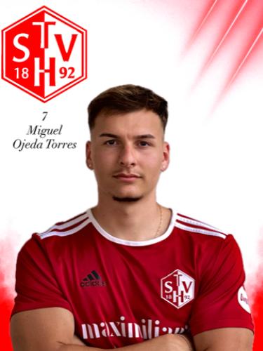 Avatar Bild für Miguel Ojeda-Torres