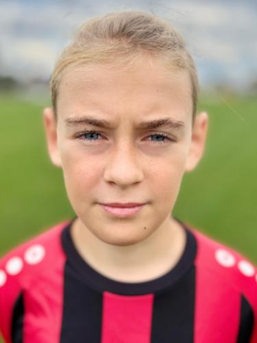 Avatar Bild für Noel Eiswert