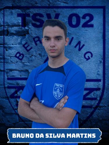Bruno da Silva Martins
