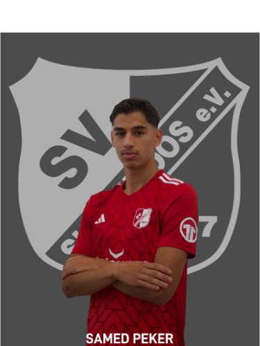 Avatar Bild für Samed Peker