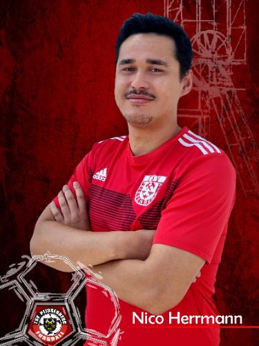 Nico Herrmann