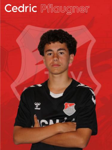 Avatar Bild für Cedric Pflaugner