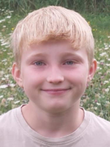 Avatar Bild für Henri Stapf